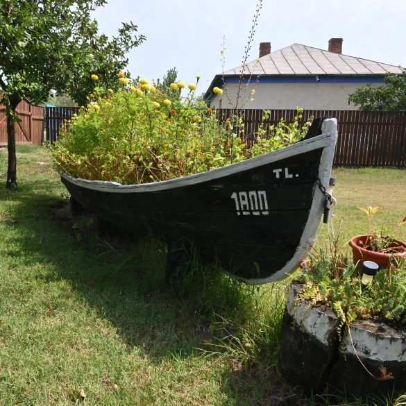 Grătar la Pensiunea Pagaya Grătar la Pensiunea Pagaya