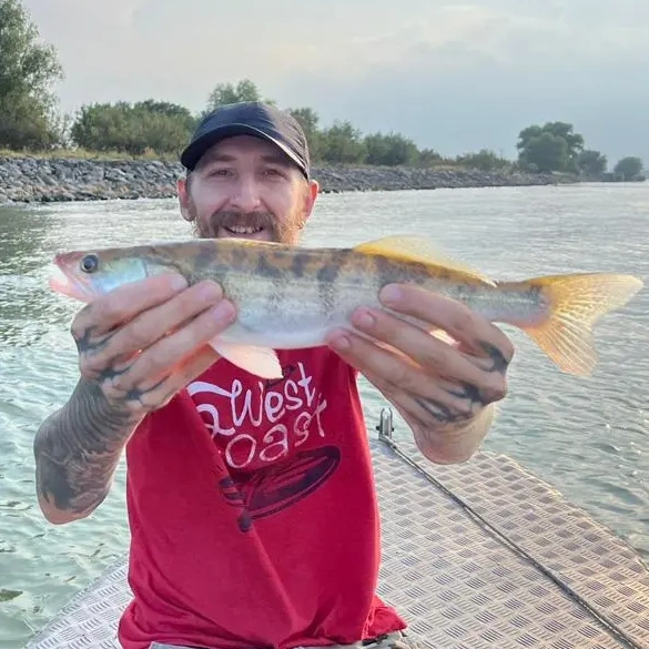 Pescuit la Pensiunea Pagaya Pescuit la Pensiunea Pagaya